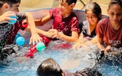 8c807c3a-3fca-4584-bc4e-89712743e56f